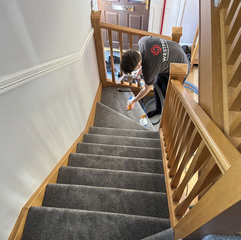 Cleaning Services Carpet and Upholstery